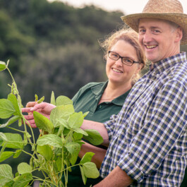 Markt im Stadtgarten