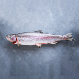 Markt im Stadtgarten