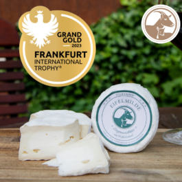 Markt im Stadtgarten