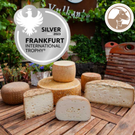 Markt im Stadtgarten