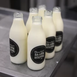 Markt im Stadtgarten