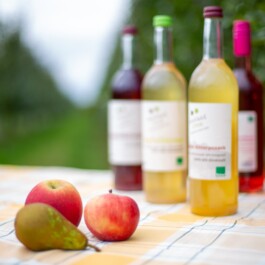 Markt im Stadtgarten