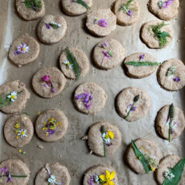 Markt im Stadtgarten