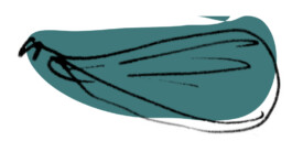 Markt im Stadtgarten