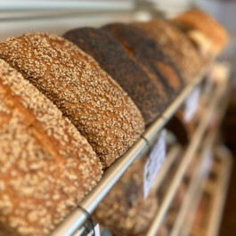 Markt im Stadtgarten