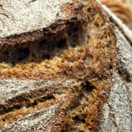 Markt im Stadtgarten