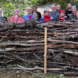 Markt im Stadtgarten