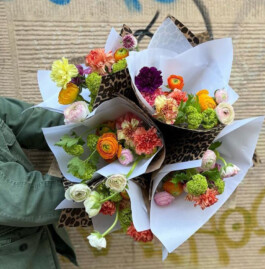 Markt im Stadtgarten