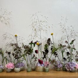 Markt im Stadtgarten