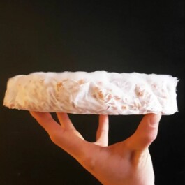 Markt im Stadtgarten