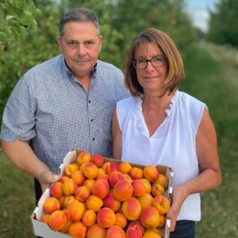 Markt im Stadtgarten