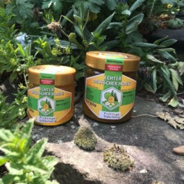 Markt im Stadtgarten