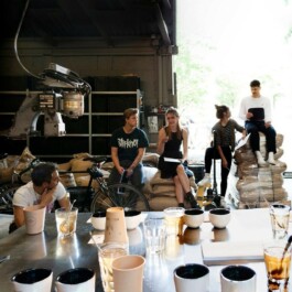 Markt im Stadtgarten