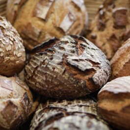 Markt im Stadtgarten