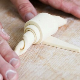 Markt im Stadtgarten