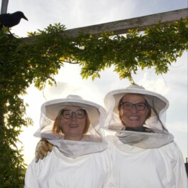 Markt im Stadtgarten