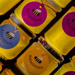 Markt im Stadtgarten