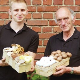 Markt im Stadtgarten